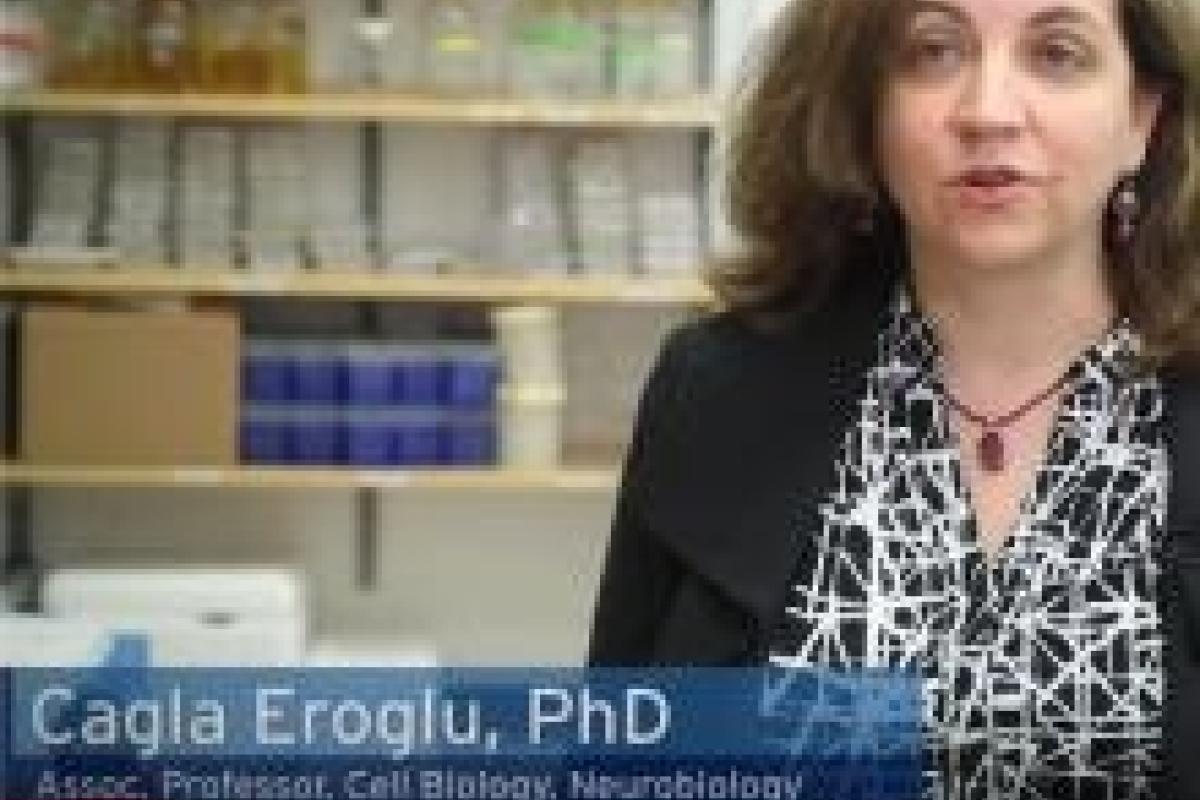 Dr. Cagla Eroglu being interviewed for Duke research video