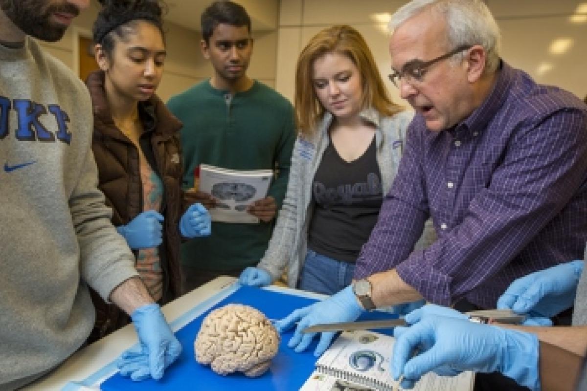 Dr. White and his lab studying a brain.