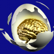 brain coming out of egg