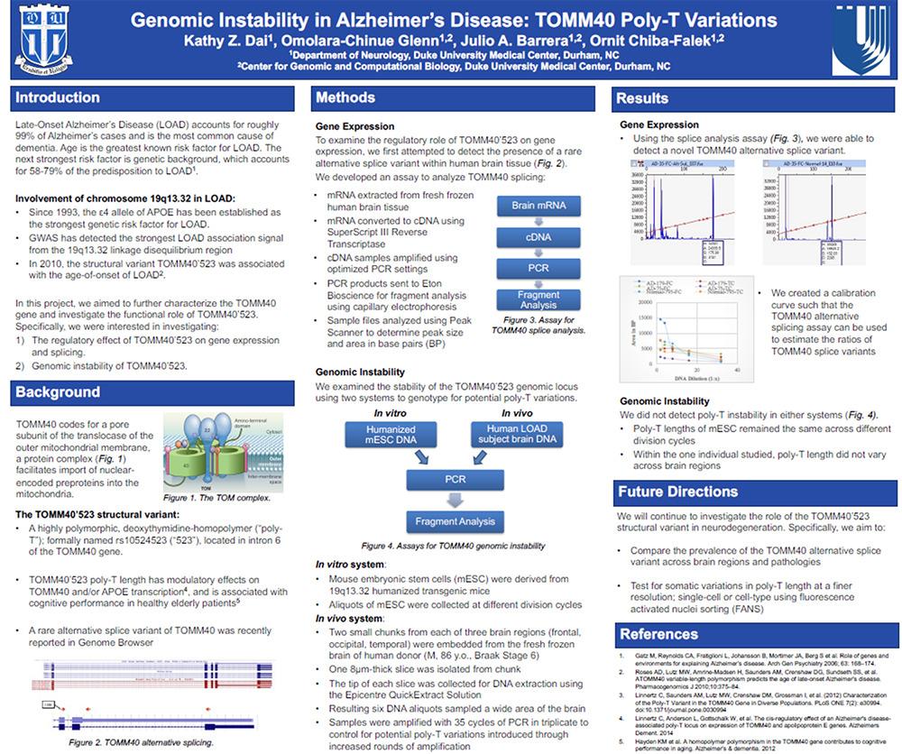 Dai's research poster, "Genomic Instability in Alzheimer's Disease"
