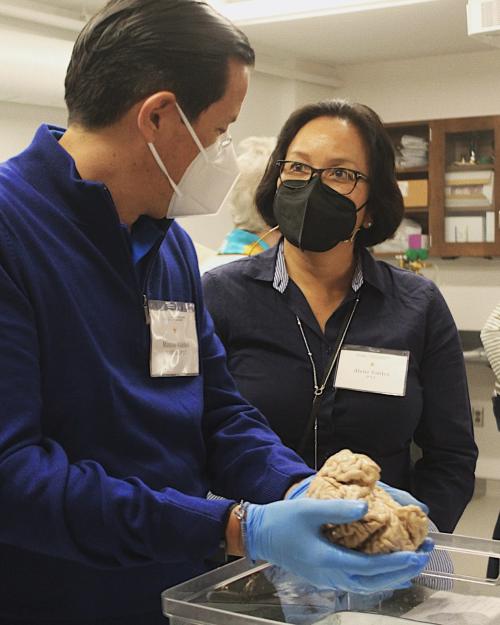 Two alumni attendees interact with human brain in the brain science lab. 