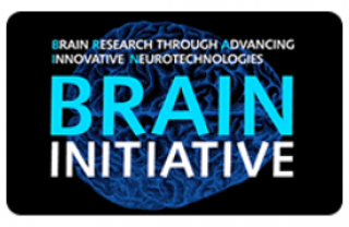 BRAIN Initiative Logo